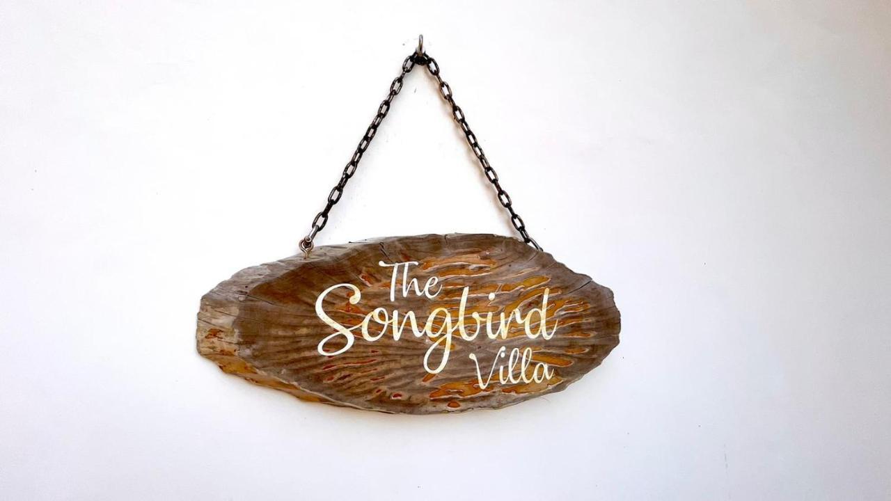 The Songbird Villa Pointe Au Sel Kültér fotó